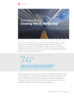 Automating NetOps: Closing the IT Skills Gap