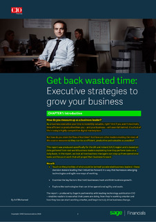 Get Back Wasted Time: Executive strategies to grow your business