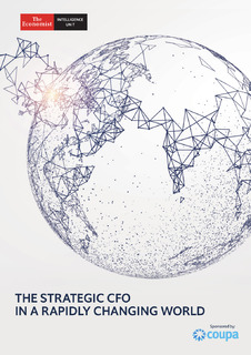 THE STRATEGIC CFO IN A RAPIDLY CHANGING WORLD