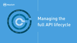 Managing the Full API Lifecycle