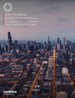 Energy Resilience: Building The Business Case
