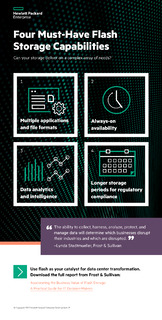 Flash Storage Capabilities infographic