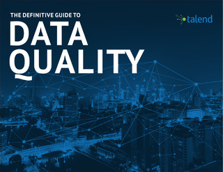 The Definitive Guide to Data Quality