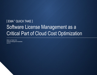 Software License Management as a Critical Part of Cloud Cost Optimization