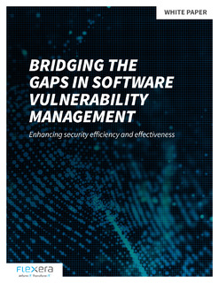 Bridging the Gaps in Software Vulnerability Management