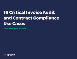 16 Critical Invoice Audit and Contract Compliance Use Cases
