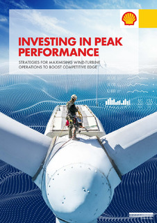 Investing in Peak Performance