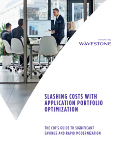Slashing Costs with Application Portfolio Optimization