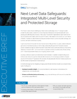 Next-Level Data Safeguards: Integrated Multi-Level Security and Protected Storage