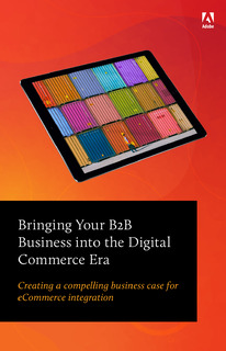 Guiding Your B2B Business into the Digital Commerce Era