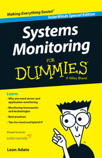 Systems ebook for DUMMIES