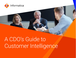 A CDO’s Guide to Customer Intelligence