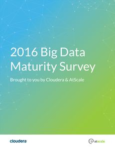 Big Data Maturity Survey, 2016