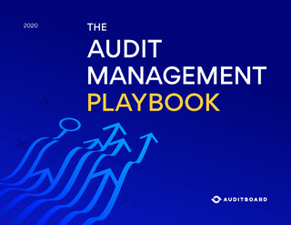 The Audit Management Playbook