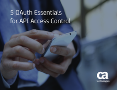 5 OAuth Essentials for API Access Control