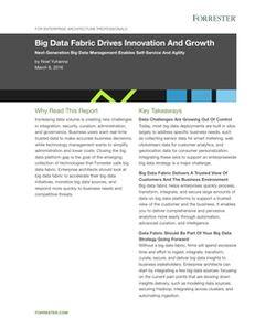 Big Data Fabric Drives Innovation and Growth