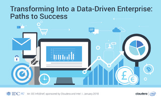 Transforming Into a Data-Driven Enterprise: Paths to Success