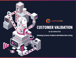 Customer Validation in 20 Minutes