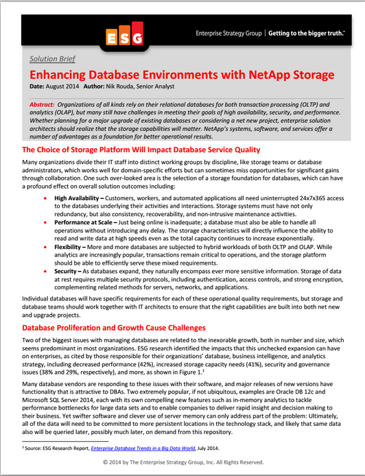 ESG Brief: Enhancing Database Environments with NetApp Storage