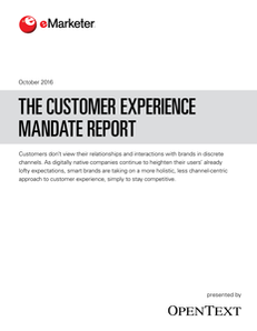 The Customer Experience Mandate Report