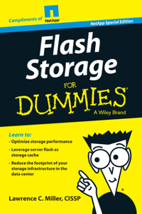 Flash Storage for Dummies