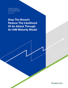 Stop the Breach: Reduce the Likelihood of an Attack Through an IAM Maturity Model