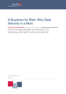 A Buydown for Risk: Why Data Security is a Must