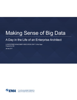 Making Sense of Big Data: A Day in the Life of an Enterprise Architect