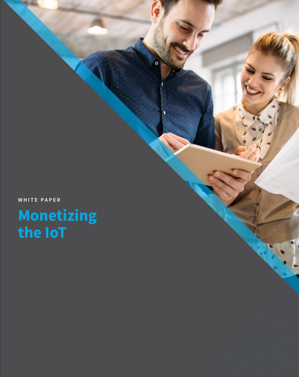 Monetizing the IoT