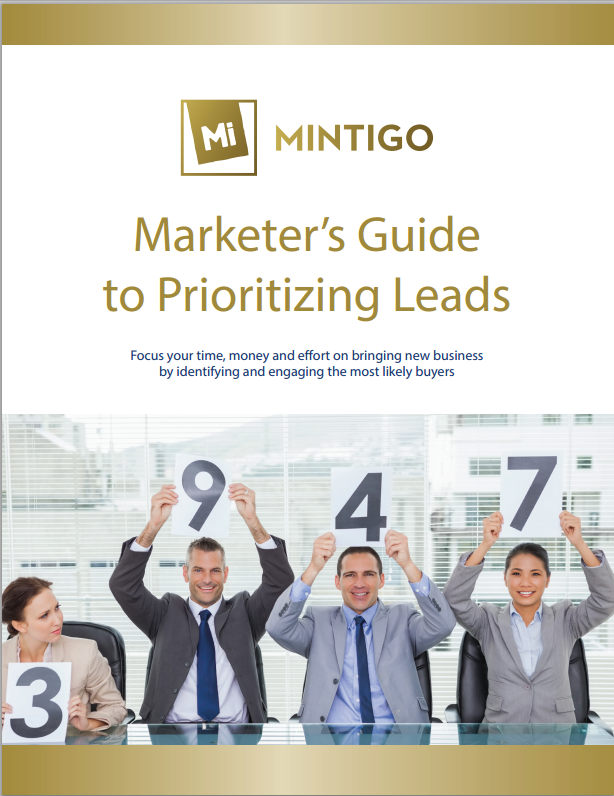 The Marketer’s Guide to Prioritizing Leads