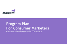 Program Plan Template for Consumer Marketers