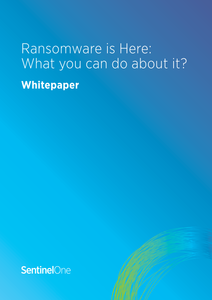 Ransomware is Here: What Can You Do About It?