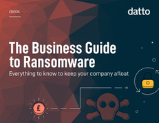 The Business Guide to Ransomware