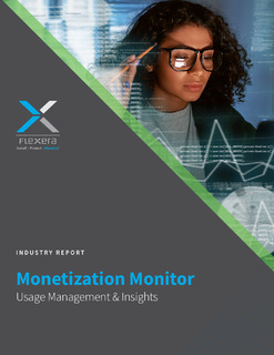 Flexera Monetization Monitor: Usage Management & Insights