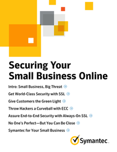 Securing Your Small Business Online