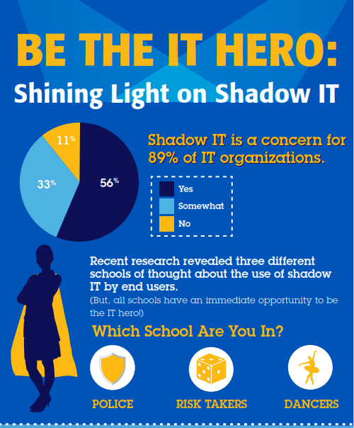 Be the IT Hero:  Shining Light on Shadow IT