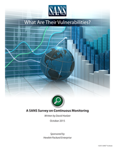 SANS: What are their Vulnerabilities? A Survey on Continuous Monitoring