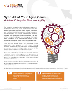 Sync All of Your Agile Gears and Achieve Enterprise Business Agility