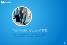 The Hidden Cost of T&E