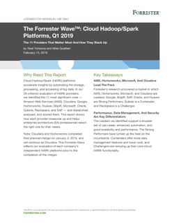 The Forrester Wave™: Cloud Hadoop/Spark Platforms, Q1 2019