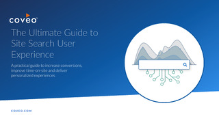 The Ultimate Guide to Site Search User Experience