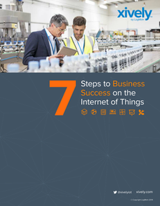 7 Steps to Business Success on the Internet of Things