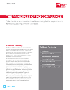 The Principles of PCI Compliance