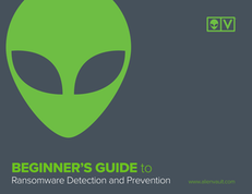 Beginner’s Guide to Ransomware Prevention & Detection
