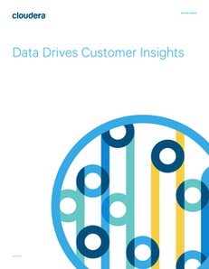 Data Drives Customer Insights