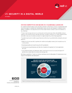 I.T. Security in a Digital World