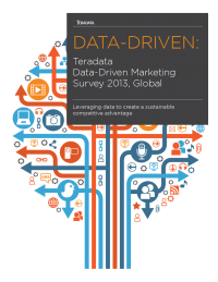 Teradata Data-Driven Marketing Survey 2013 Infographic