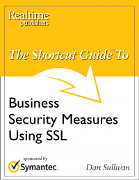 The Shortcut Guide to Business Security Measures Using SSL