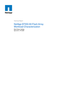 NetApp EF550 All-Flash Array Workload Characterization