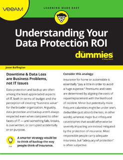 Understanding Your Data Protection ROI for Dummies